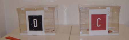 Jornadas: La libertad de ser rebeldes